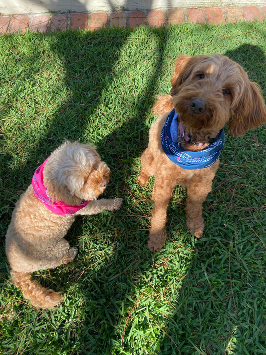 Headskinz buff | BCNA Pink Sports Day